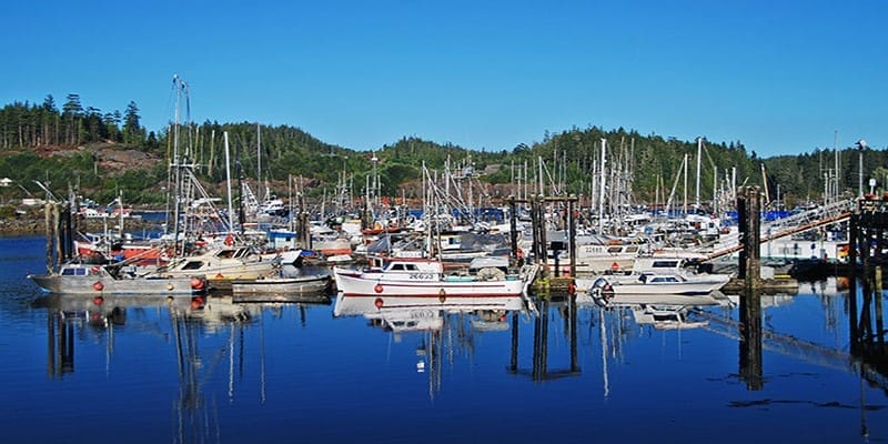 A picture of the City of Parksville.